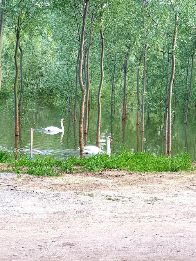 Vikendica Apartments Dunav Ms Celarevo Bagian luar foto